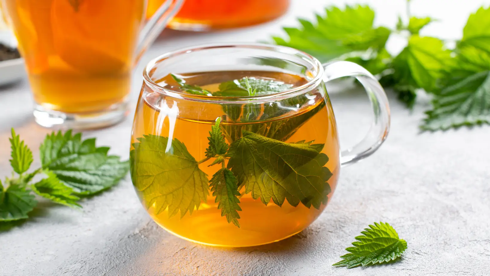 A csalántea jótékony hatásai: mélyreható elemzés és tippek