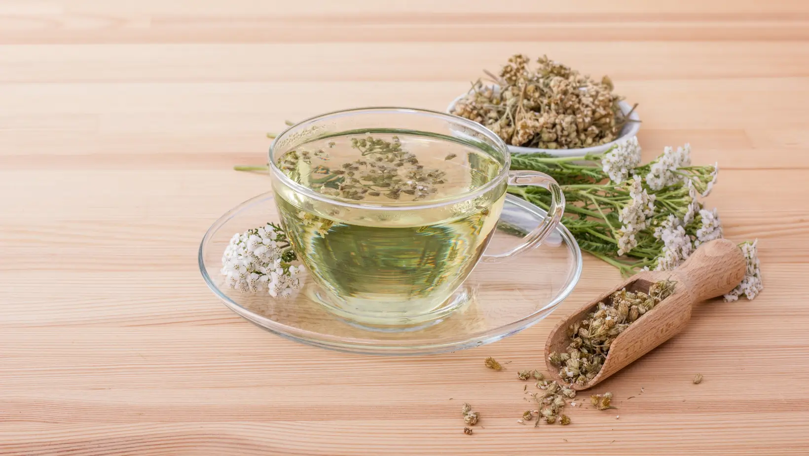 Cickafark tea elkészítése – Természetes gyógyital lépésről lépésre